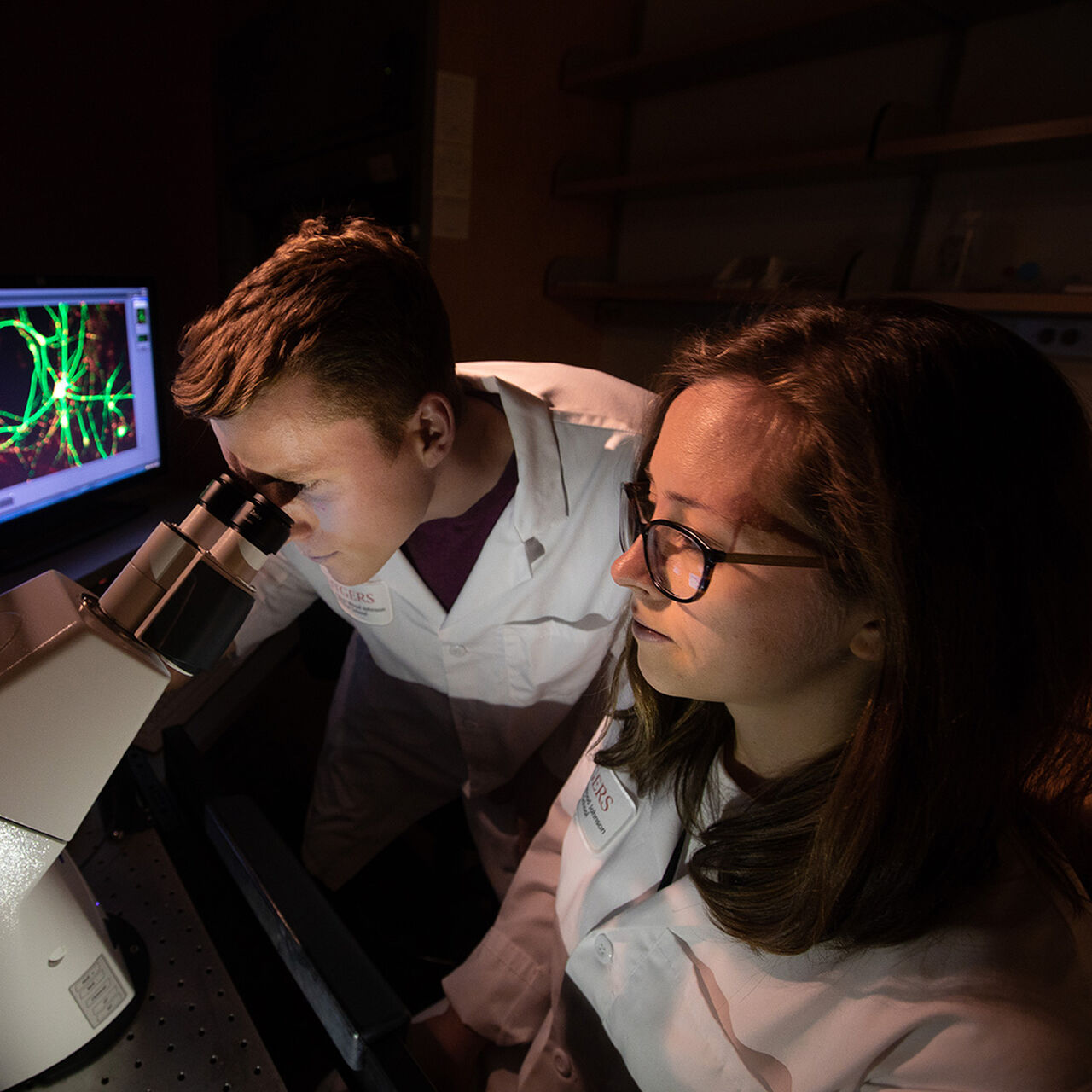 Two researchers in lab coats working at an electronic microscope in the dark  image number 0